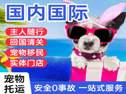 营口航空托运国际宠物托运 【国